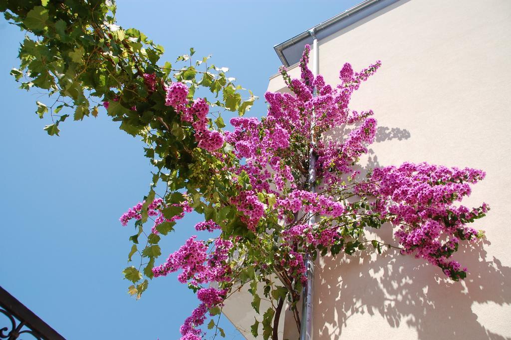 Apartment Gold Trogir Room photo